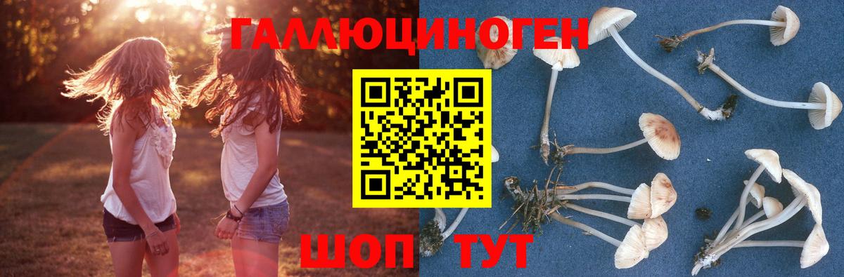 Галлюциногенные грибы прущие грибы Вичуга