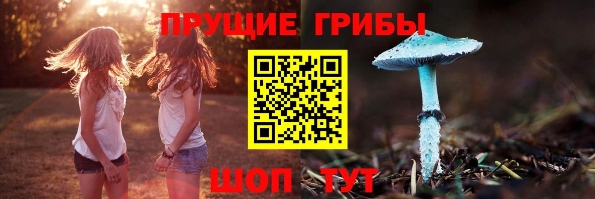 Вичуга  наркота  Вход с VPN  Псилоцибиновые грибы ЛСД  Псилоцибиновые грибы MAGIC MUSHROOMS 